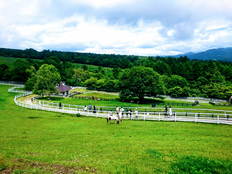 まきば公園　全景